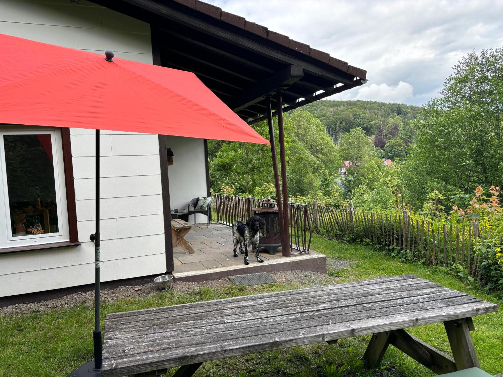 Harzhuisje - Sankt Andreasberg Exterior foto