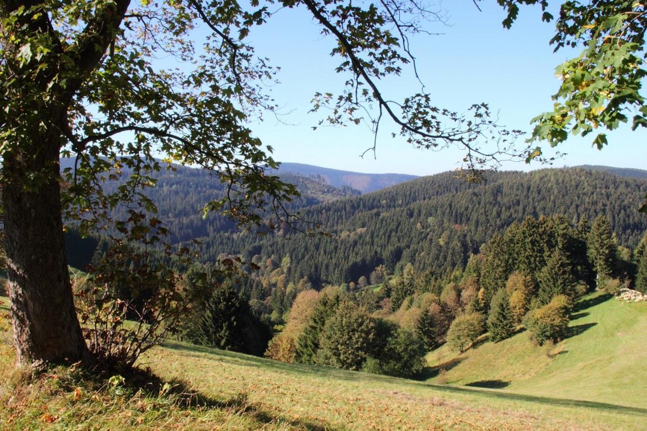 Harzhuisje - Sankt Andreasberg Exterior foto
